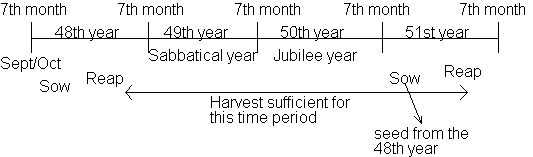 What are some facts about the Jubilee year in the Old Testament?